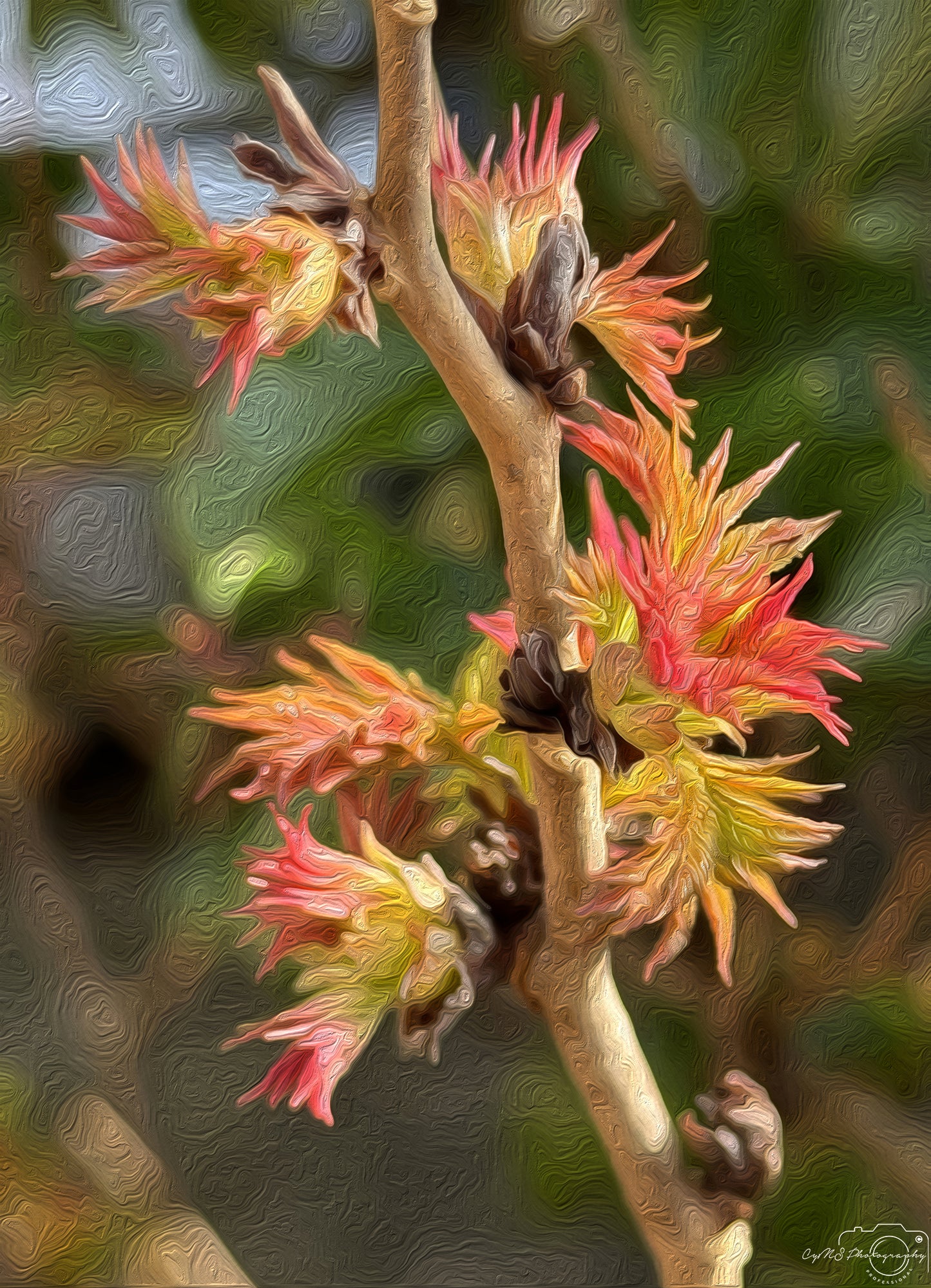 Digital Oil Painting - Superb Flower V231
