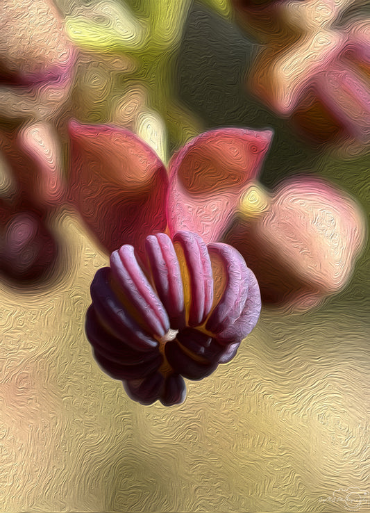Digital Oil Painting - Superb Flower V237