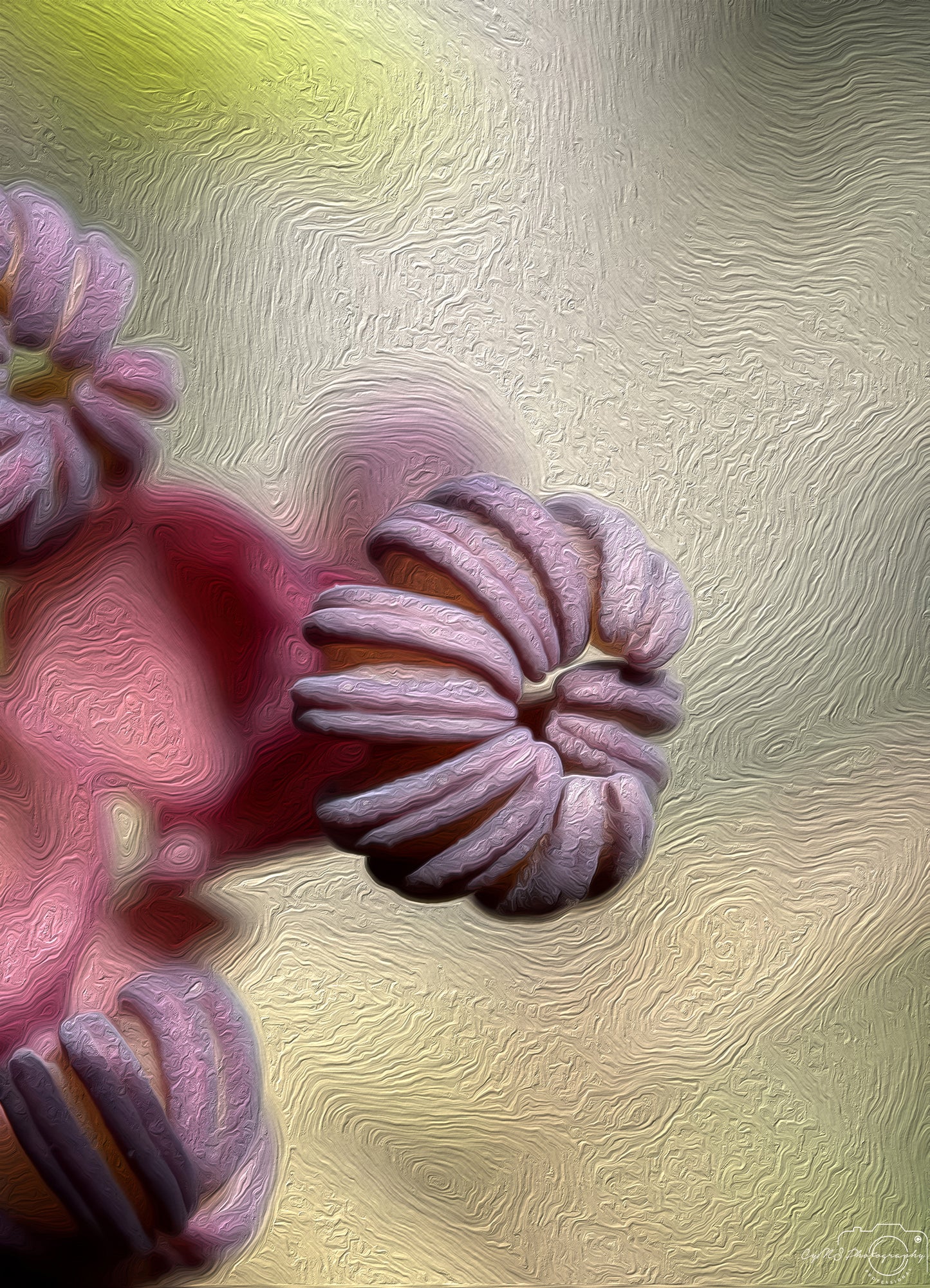 Digital Oil Painting - Superb Flower V256