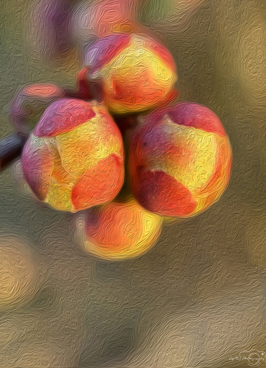 Digital Oil Painting - Superb Flower V261