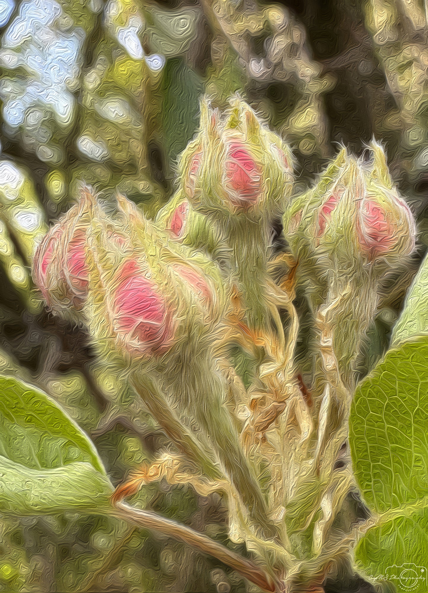 Flower_284_oil painting