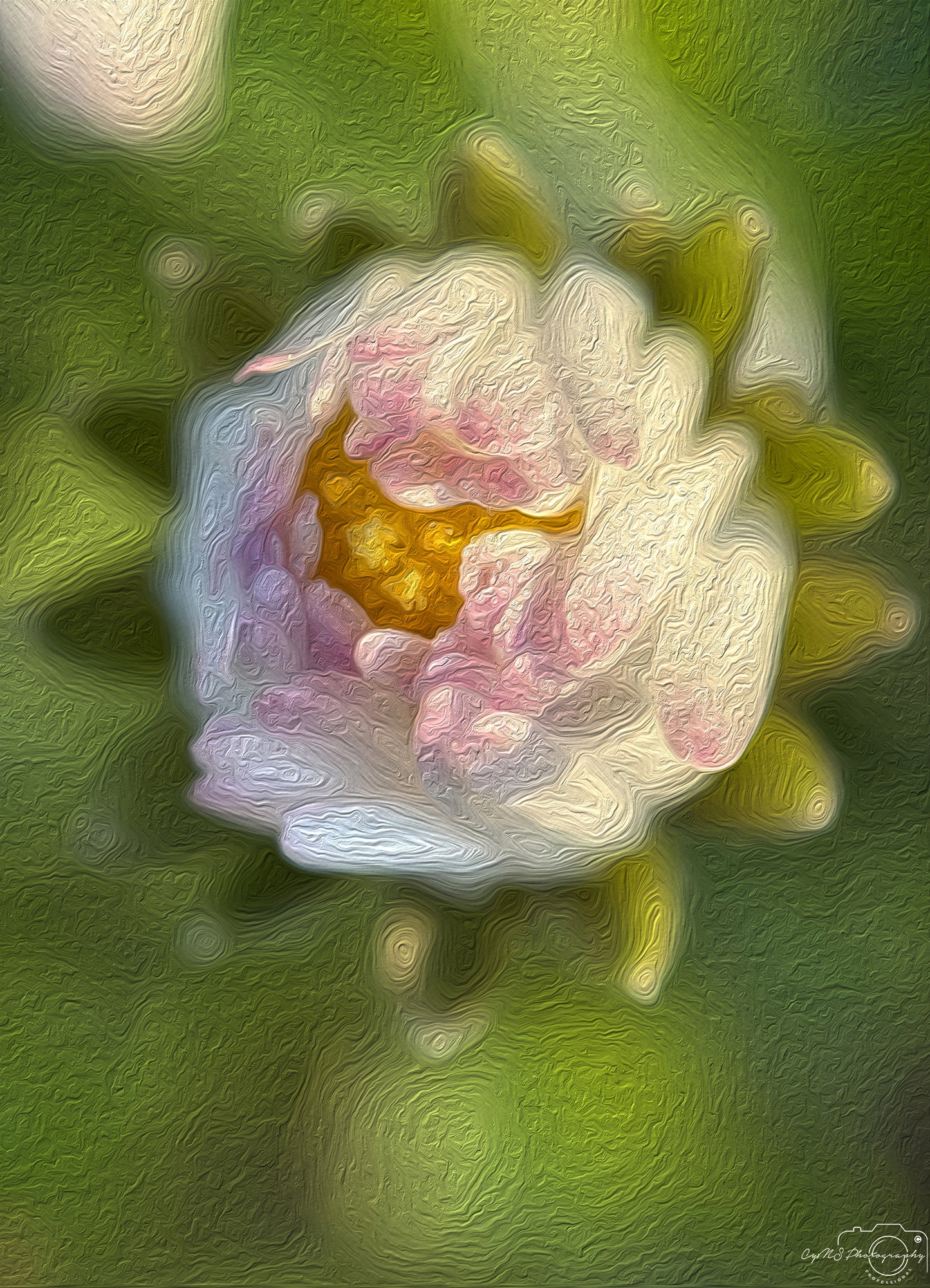 Digital Oil Painting - Superb Flower V289