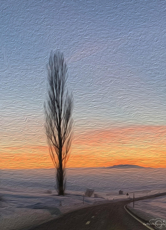 Sunrise_019_oil painting - Superbpictures