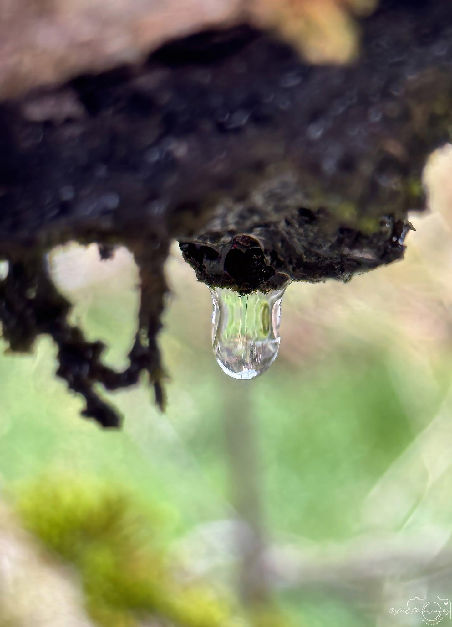Beautiful water drop_V100 - Superbpictures