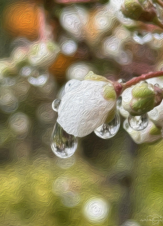 Digital Oil Painting - Superb Droplet V200
