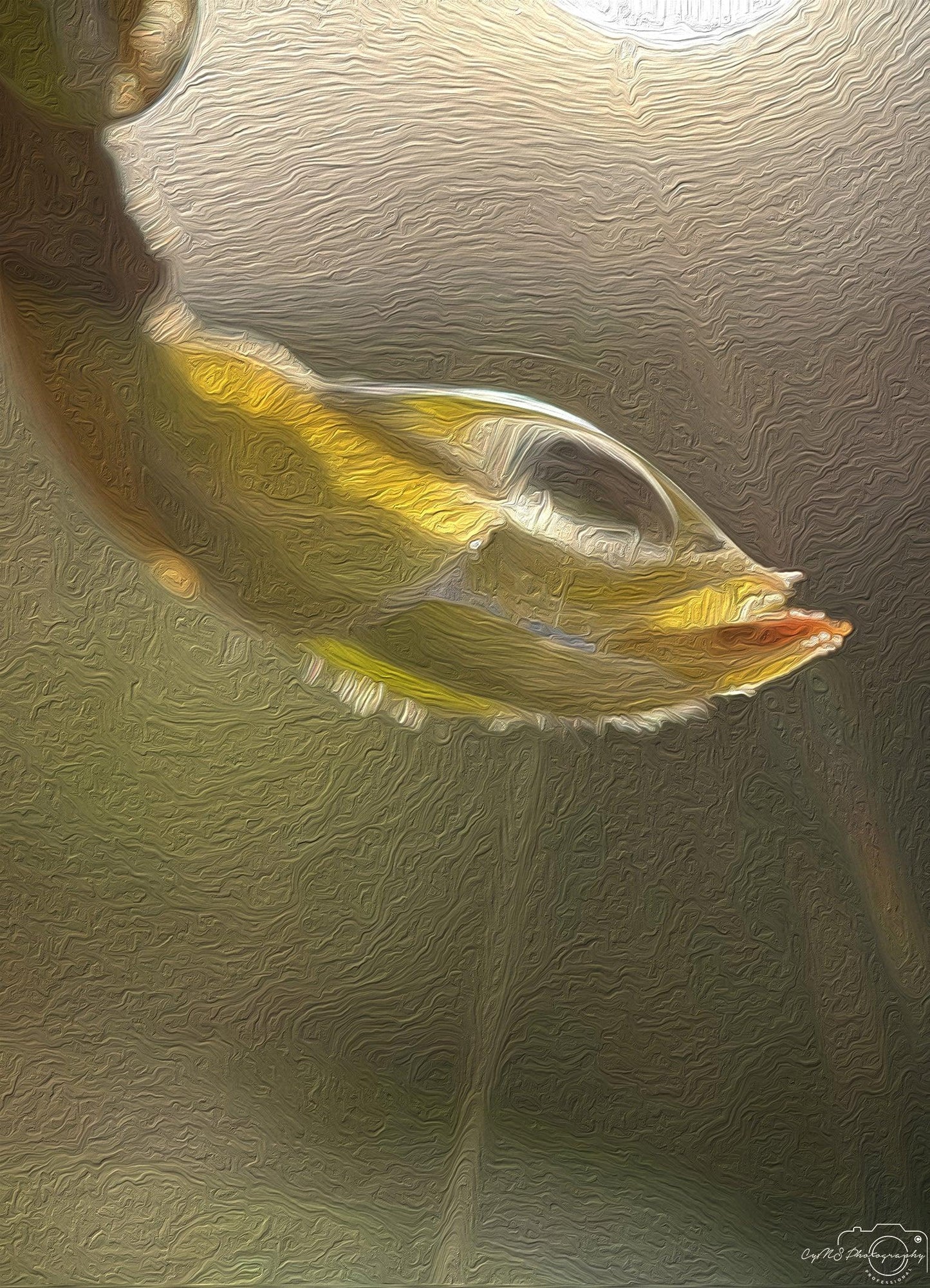 Digital Oil Painting - Superb Droplet V210