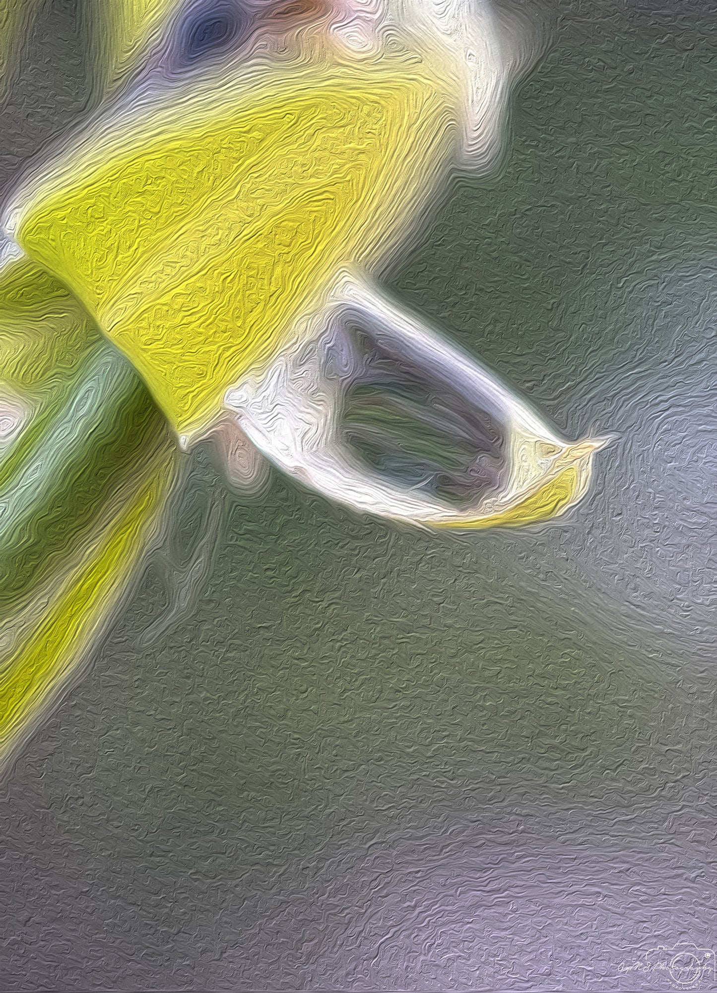 Digital Oil Painting - Superb Droplet V217