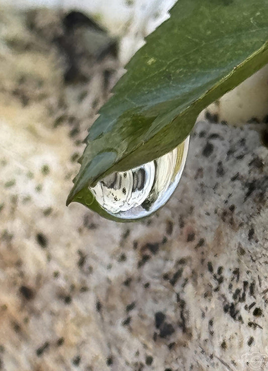 Photographie de la nature - Superbe gouttelette V231