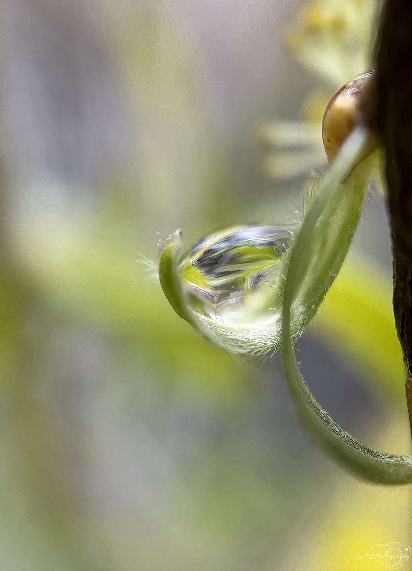 Beautiful water drop_V252