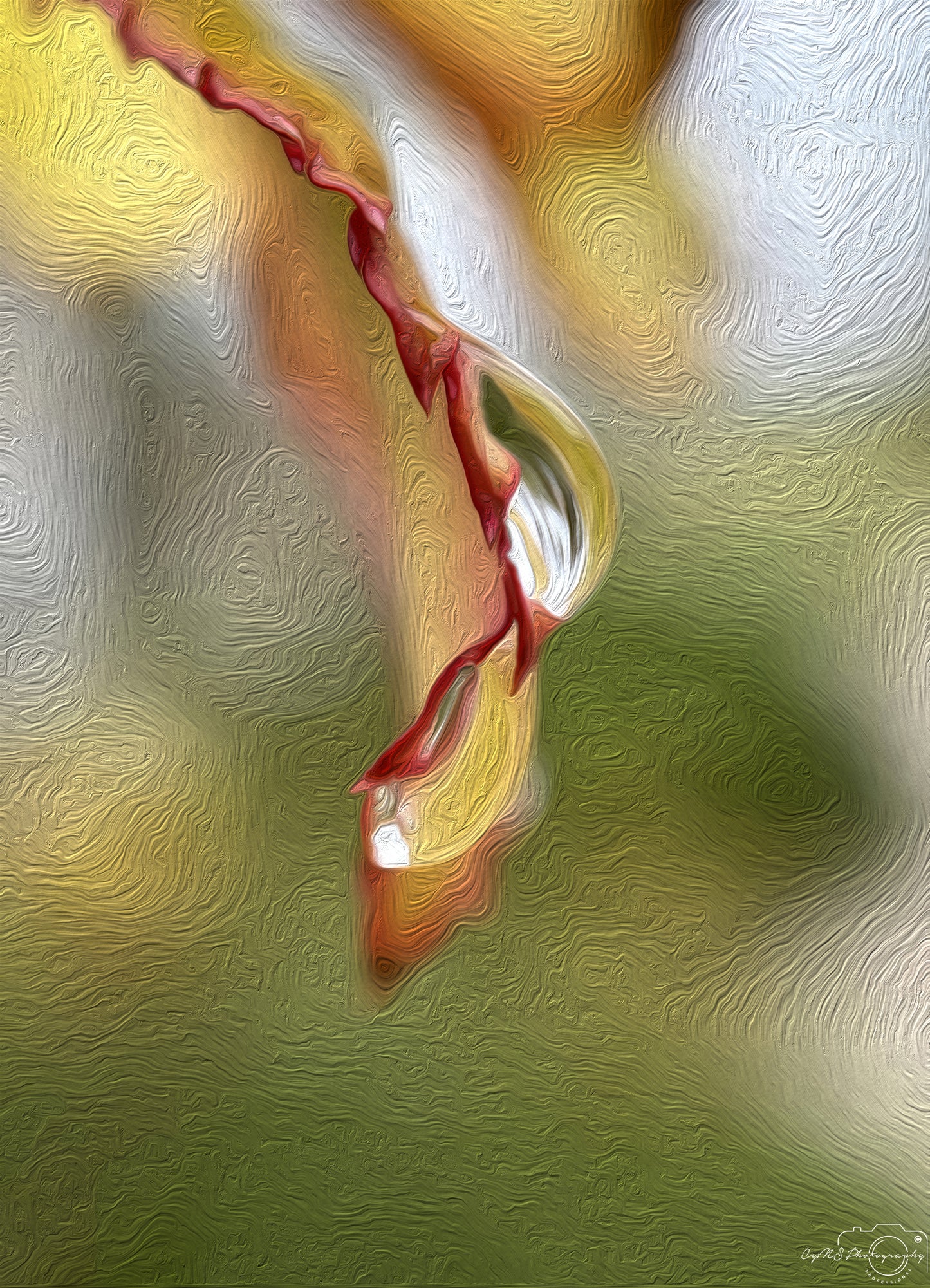 Digital Oil Painting - Superb Droplet V298