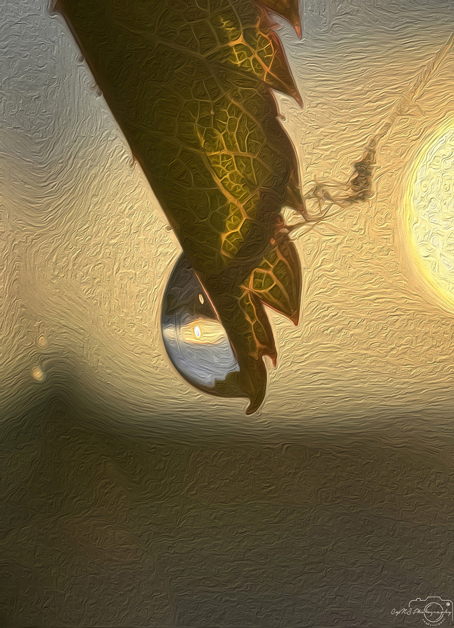 Digital Oil Painting - Superb Droplet V307