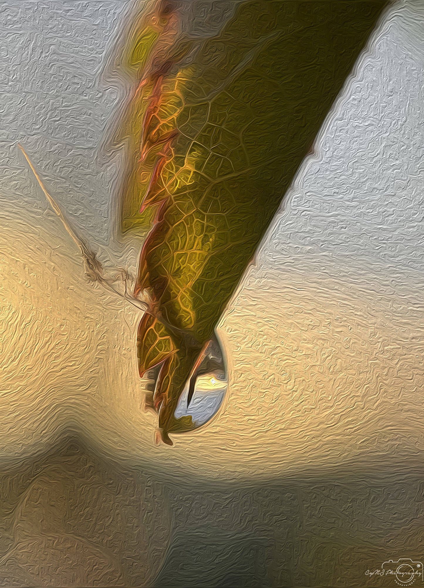 Digital Oil Painting - Superb Droplet V308