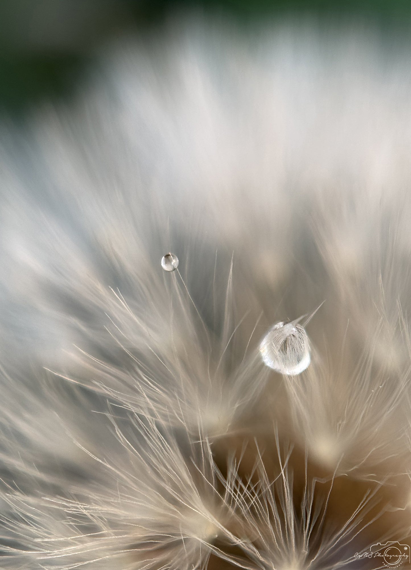 Photographie de la nature - Superbe gouttelette V324