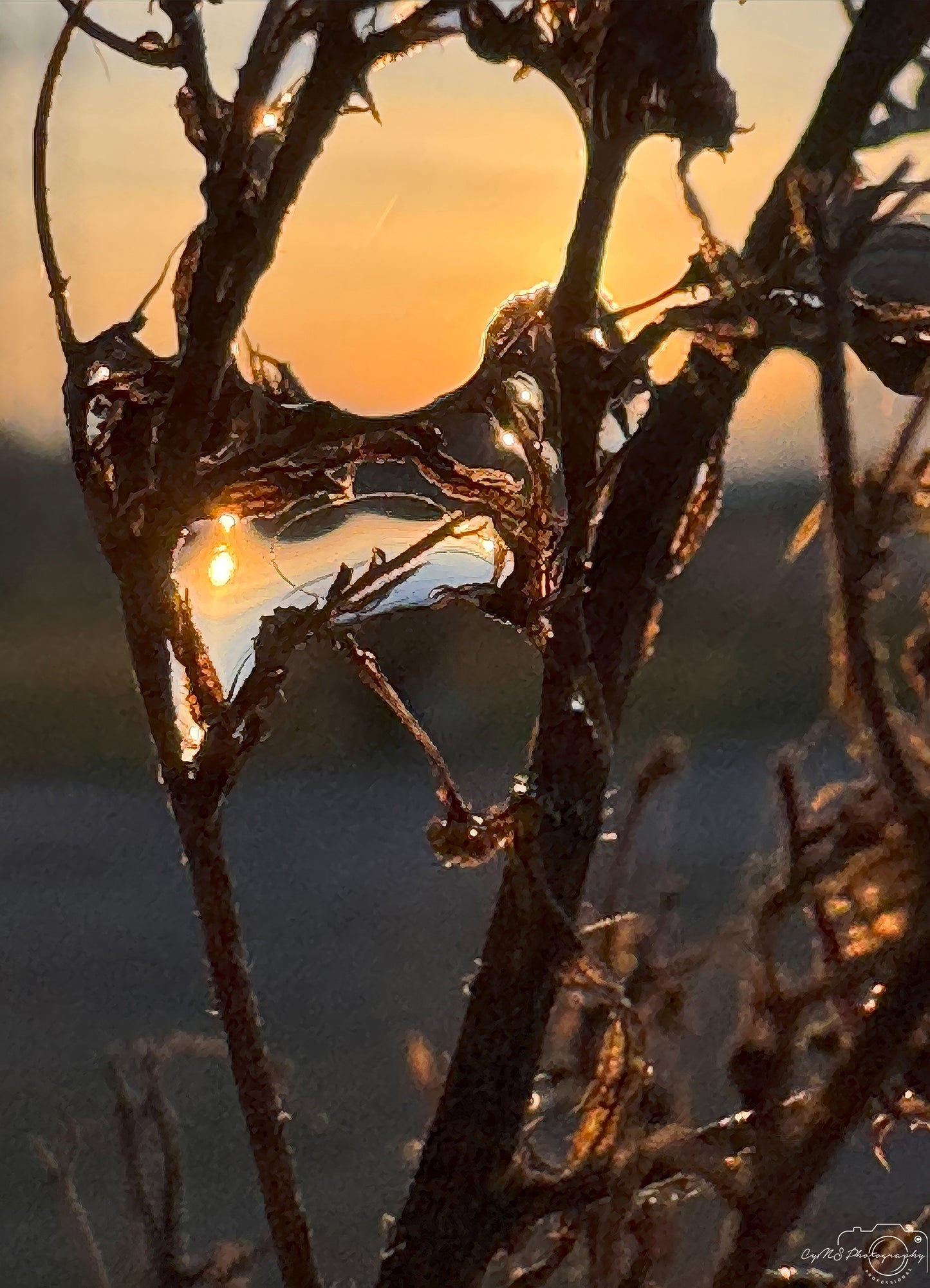 Photographie de la nature - Superbe gouttelette V344