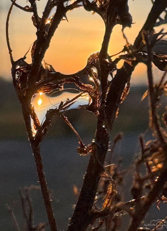 Photographie de la nature - Superbe gouttelette V344