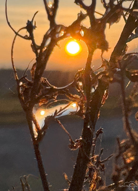 Photographie de la nature - Superbe gouttelette V345