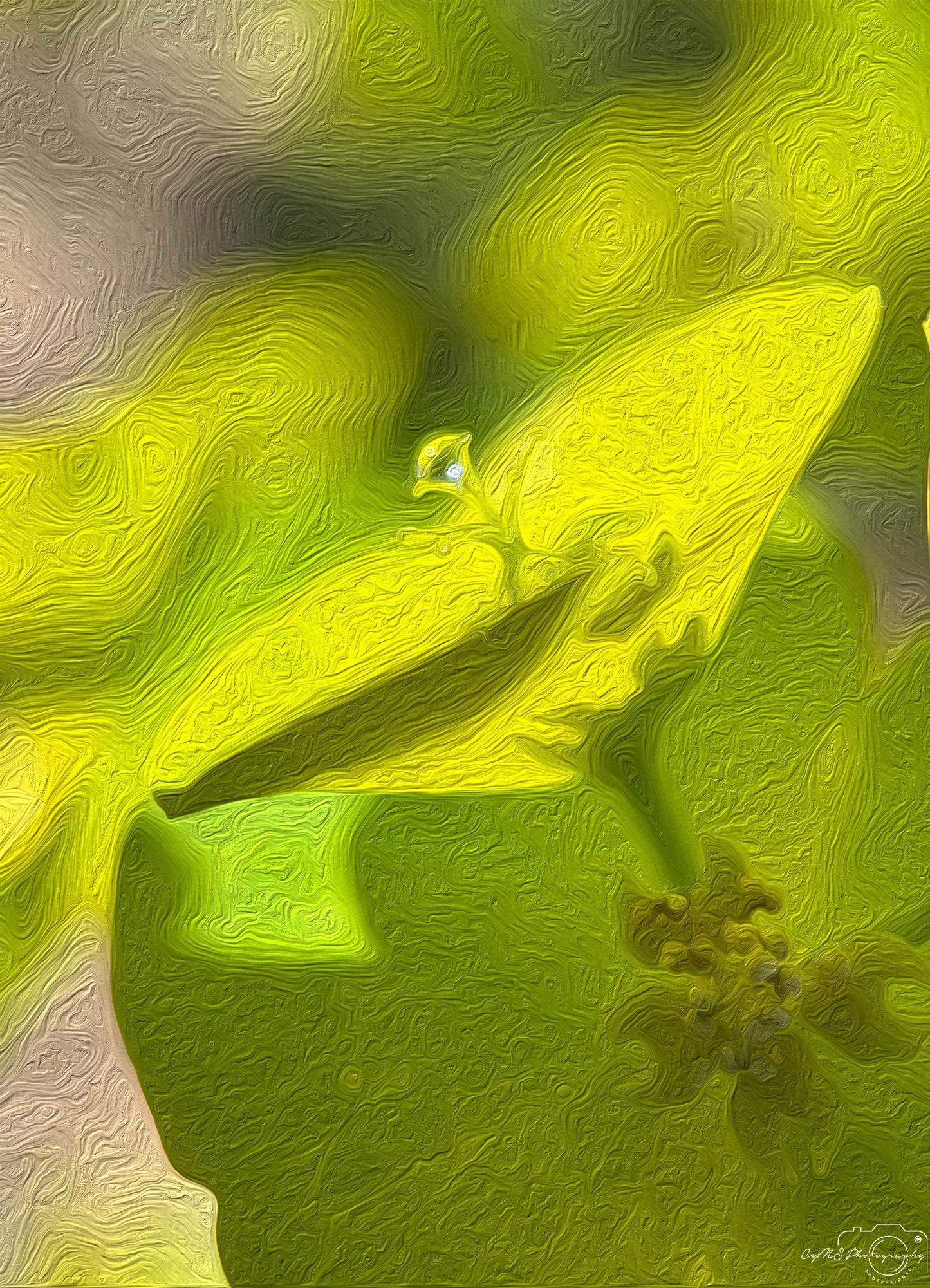 Digital Oil Painting - Superb Droplet V364