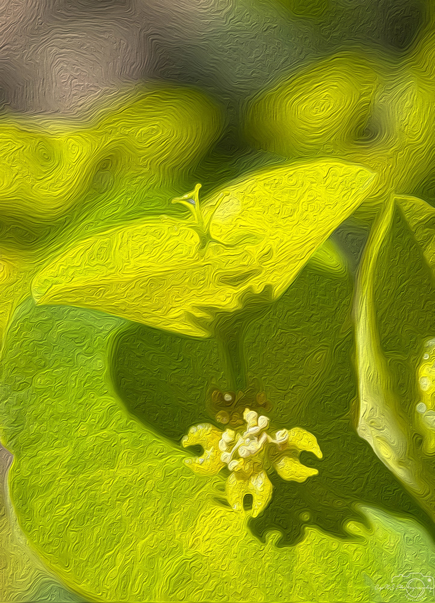 Digital Oil Painting - Superb Droplet V365