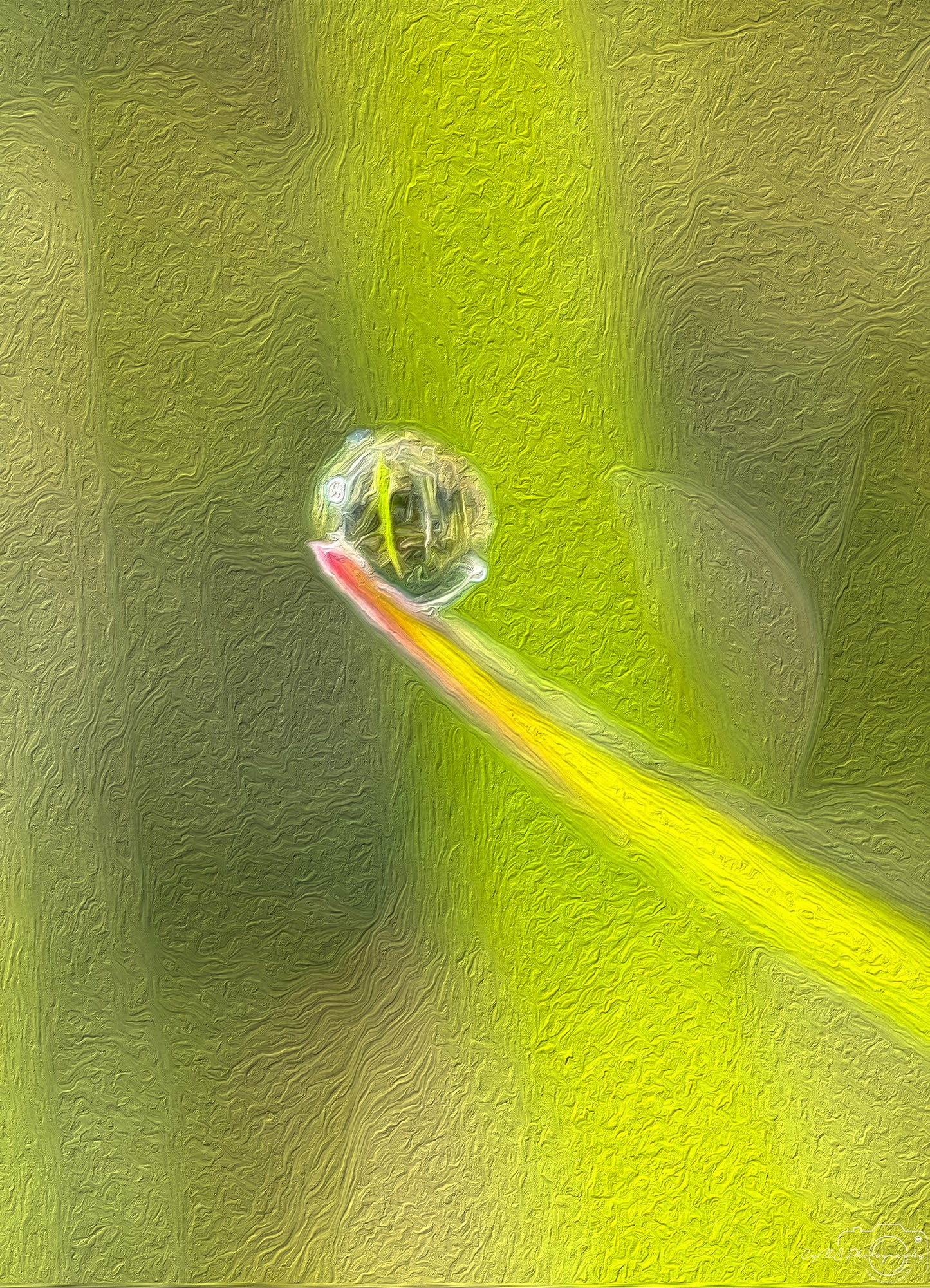 Digital Oil Painting - Superb Droplet V389