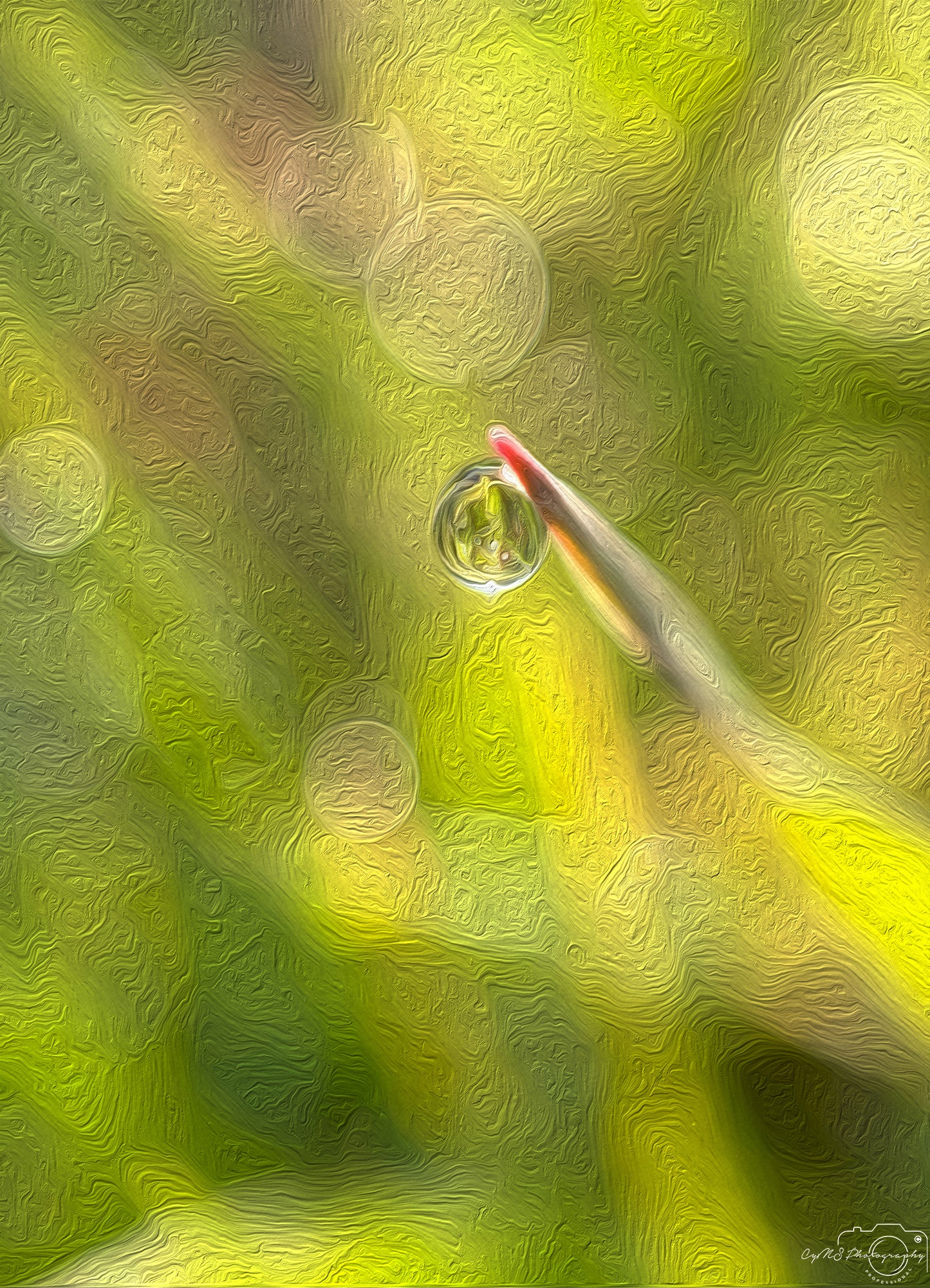 Digital Oil Painting - Superb Droplet V392