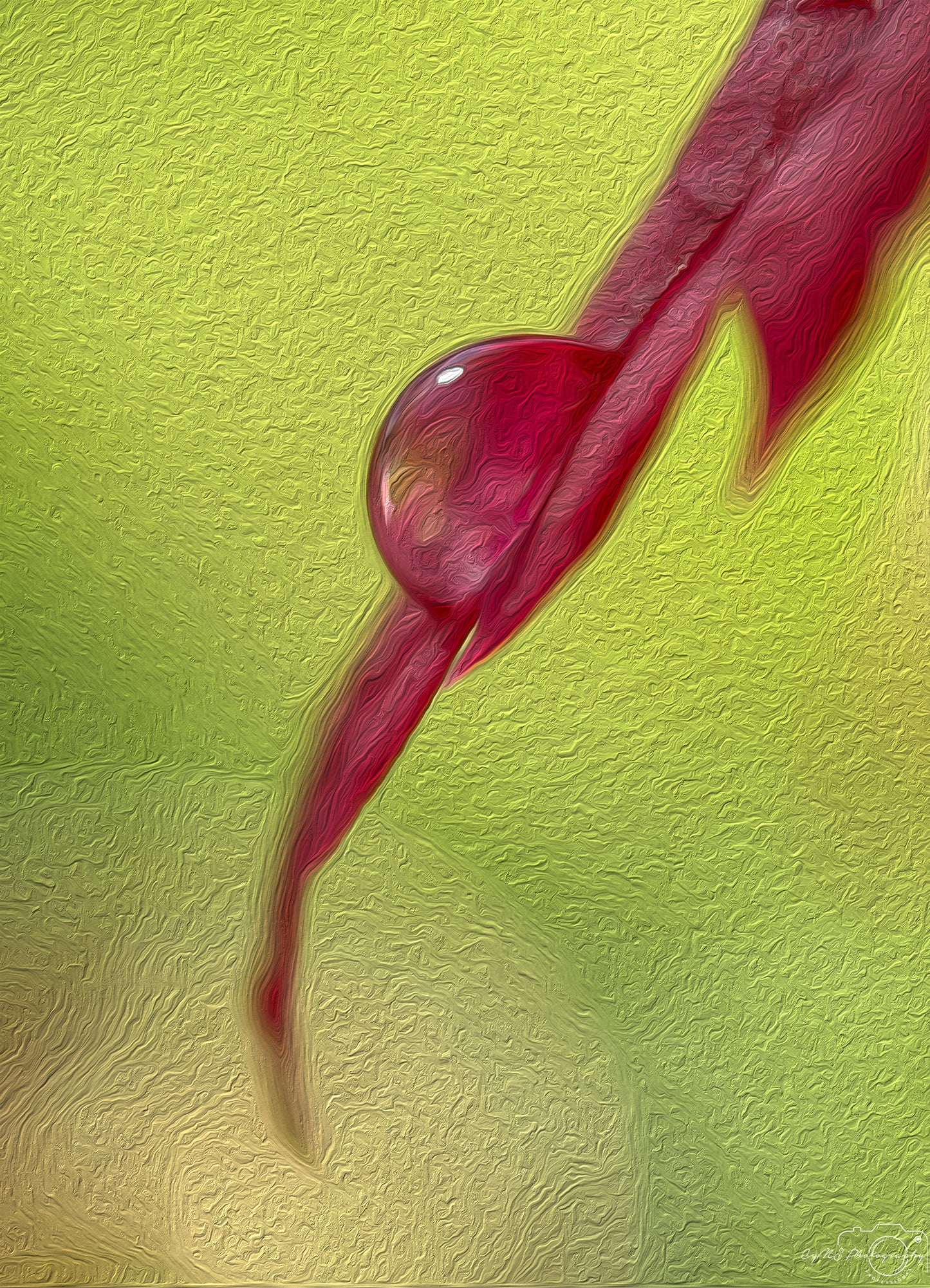 Digital Oil Painting - Superb Droplet V396