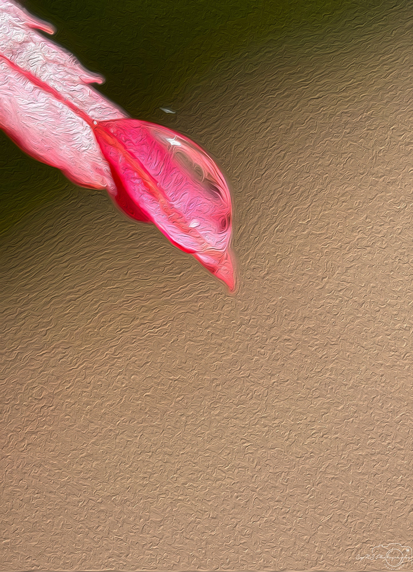 Digital Oil Painting - Superb Droplet V398