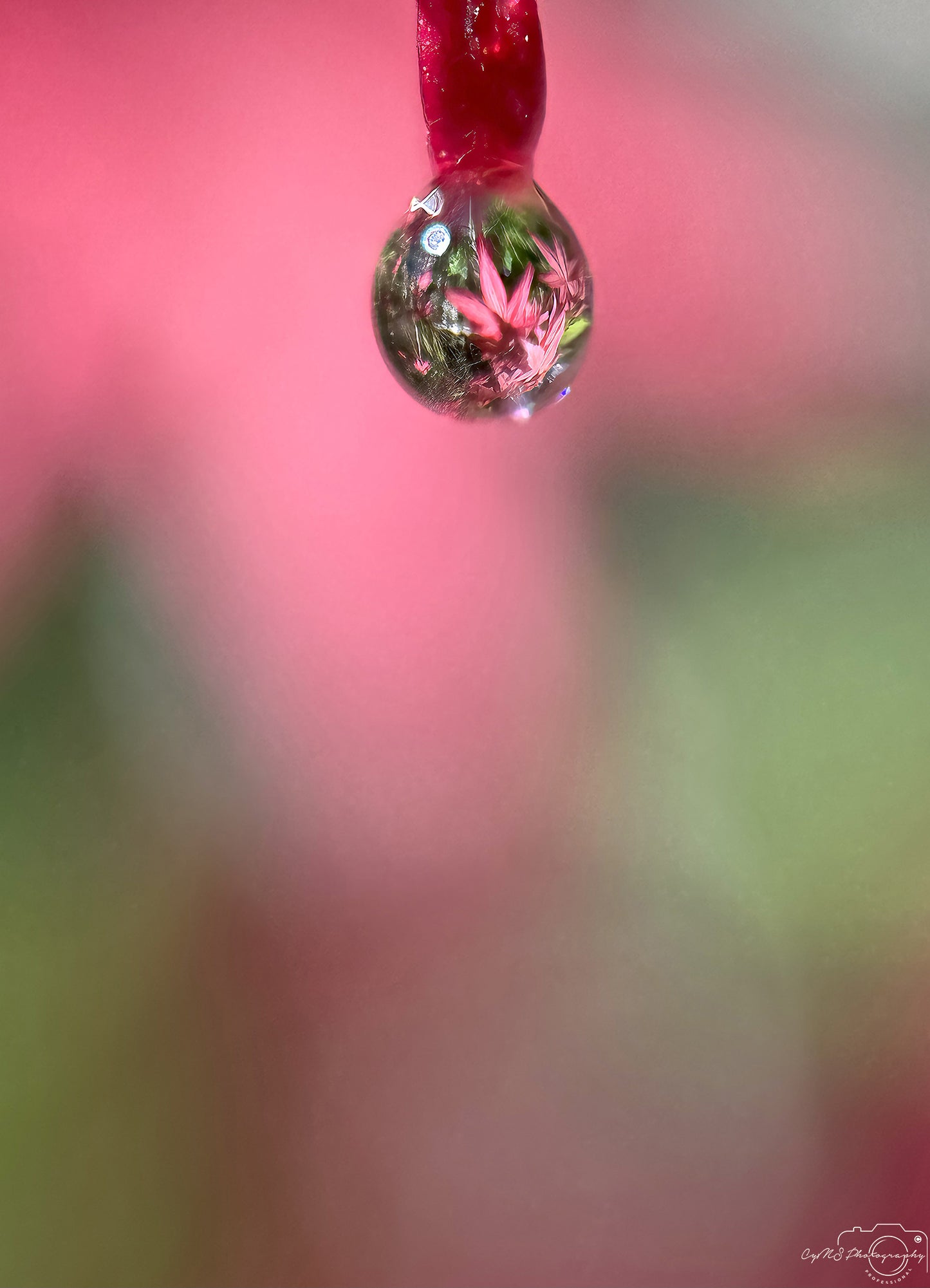 Schöner Wassertropfen_V412