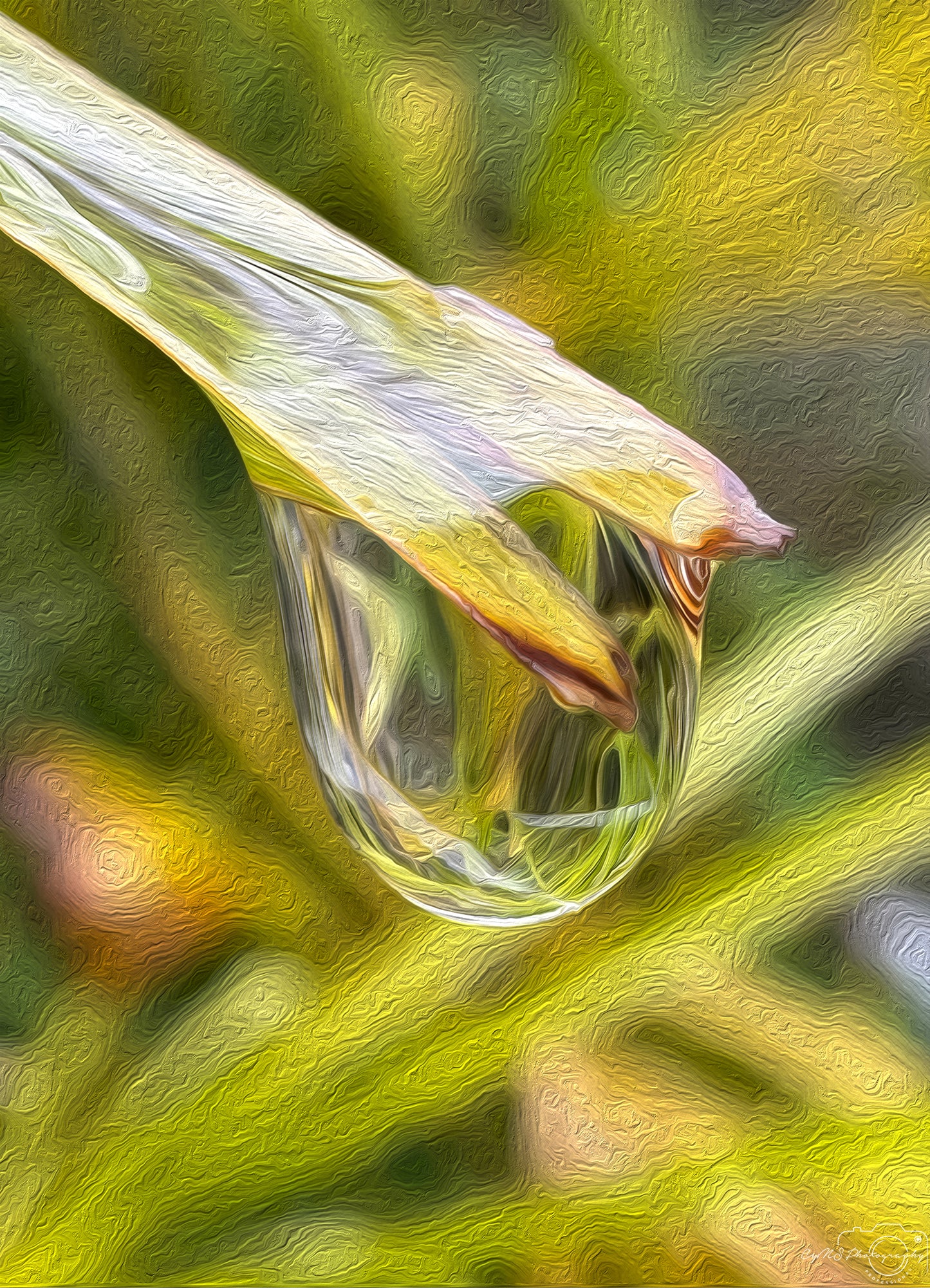 Digital Oil Painting - Superb Droplet V427