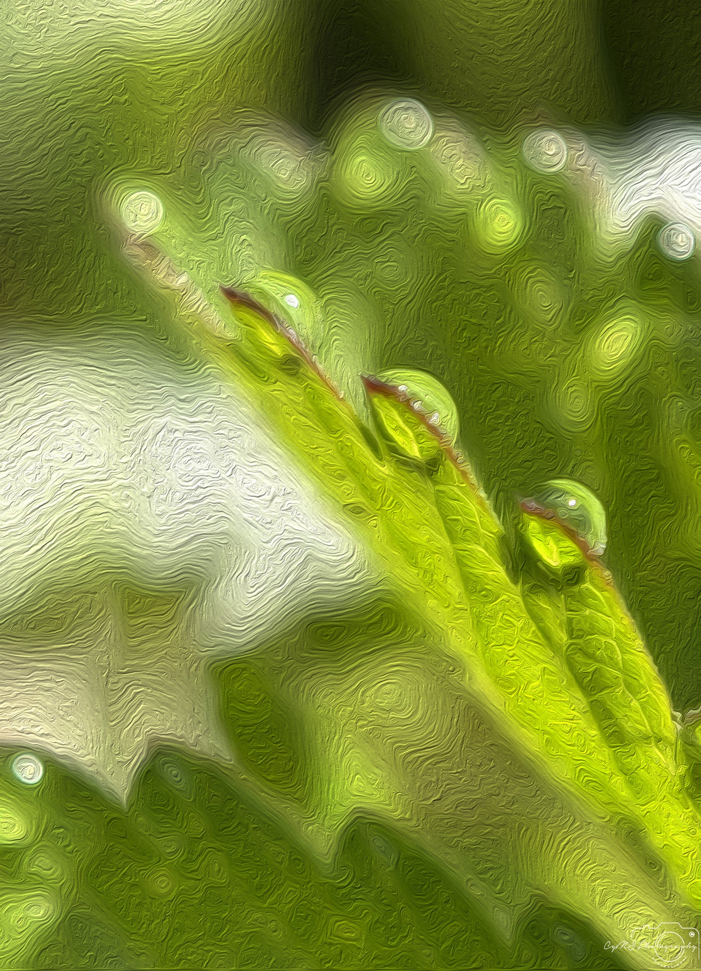 Digital Oil Painting - Superb Droplet V445