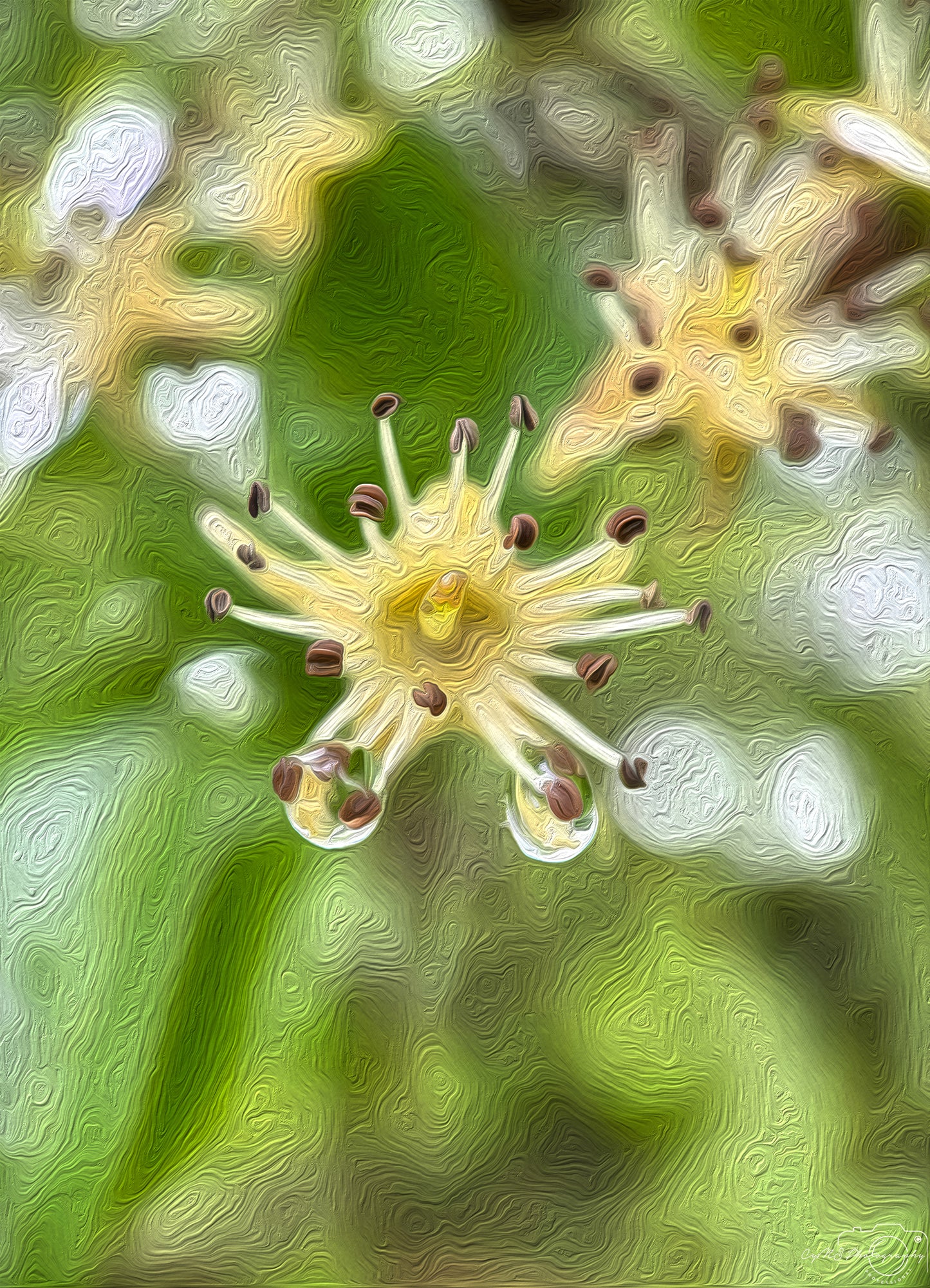 Digital Oil Painting - Superb Droplet V452