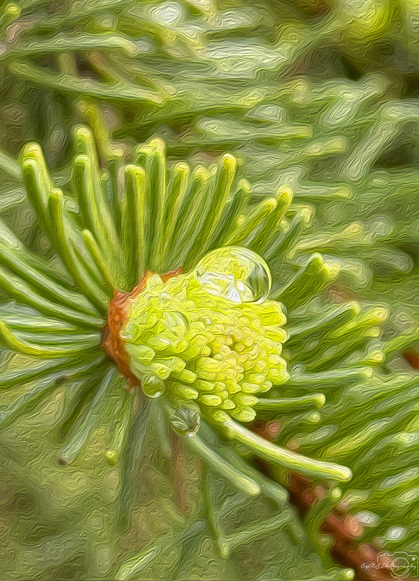 Digital Oil Painting - Superb Droplet V465