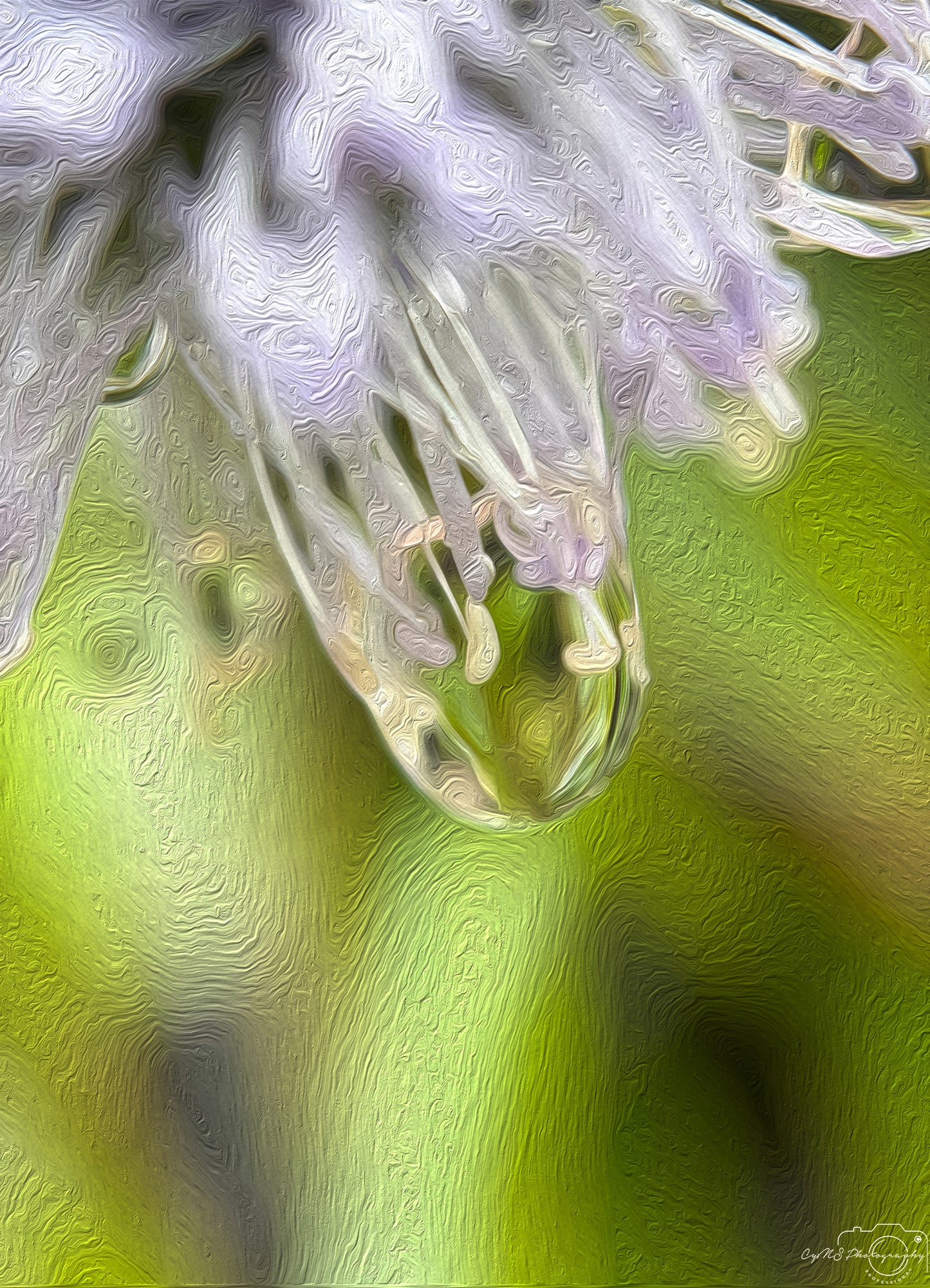 Digital Oil Painting - Superb Droplet V470