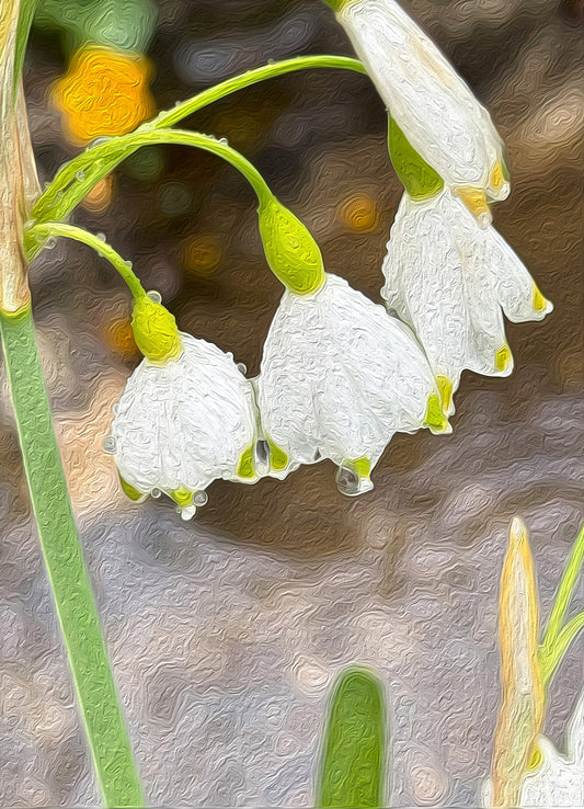Digital Oil Painting - Superb Droplet V484