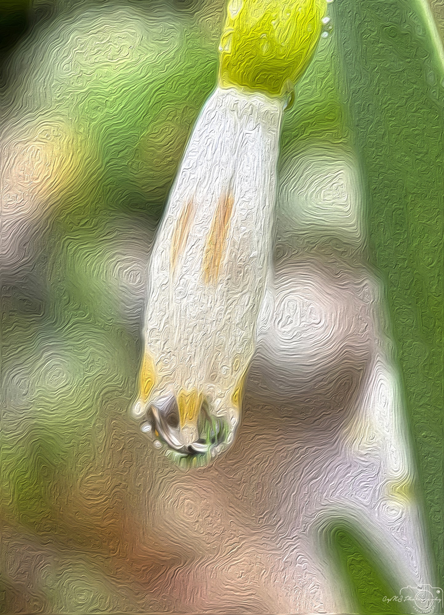 Digital Oil Painting - Superb Droplet V485