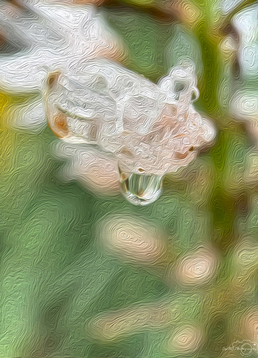 Digital Oil Painting - Superb Droplet V486