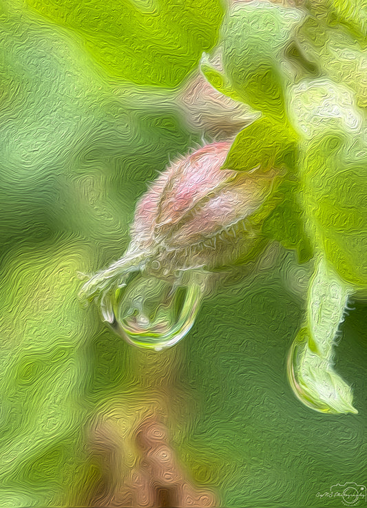 Digital Oil Painting - Superb Droplet V489