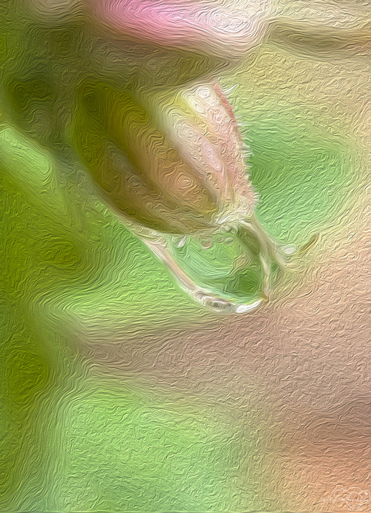 Digital Oil Painting - Superb Droplet V490