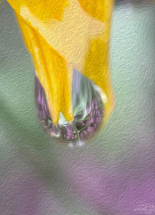 Digital Oil Painting - Superb Droplet V495