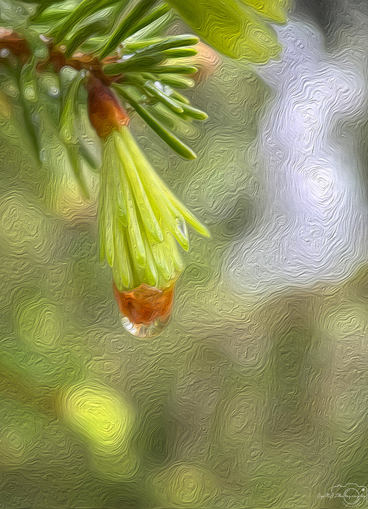 Digital Oil Painting - Superb Droplet V497