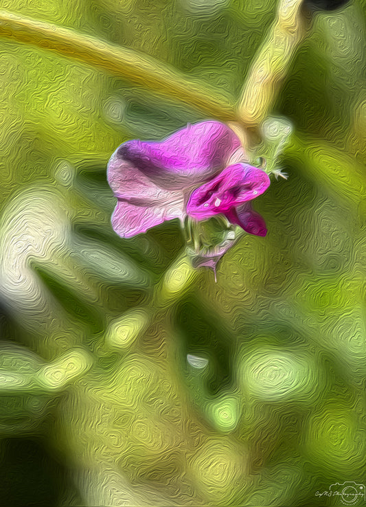 Digital Oil Painting - Superb Droplet V500