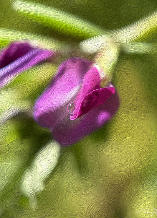 Digital Oil Painting - Superb Droplet V501