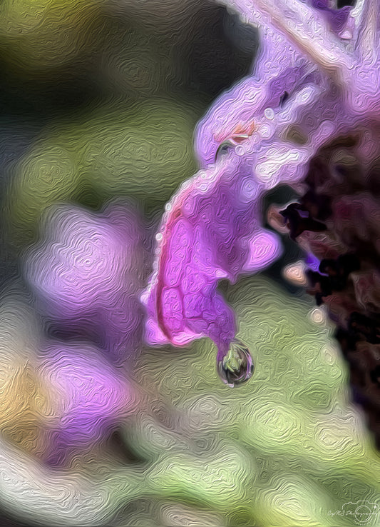 Digital Oil Painting - Superb Droplet V504