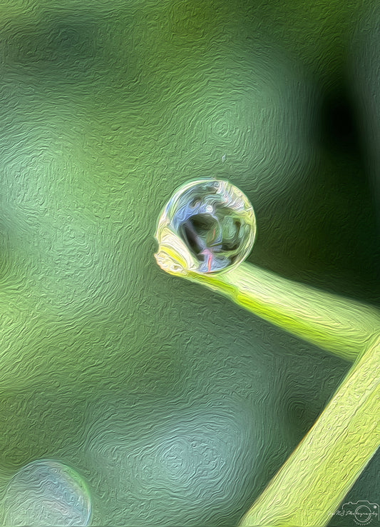 Digital Oil Painting - Superb Droplet V520