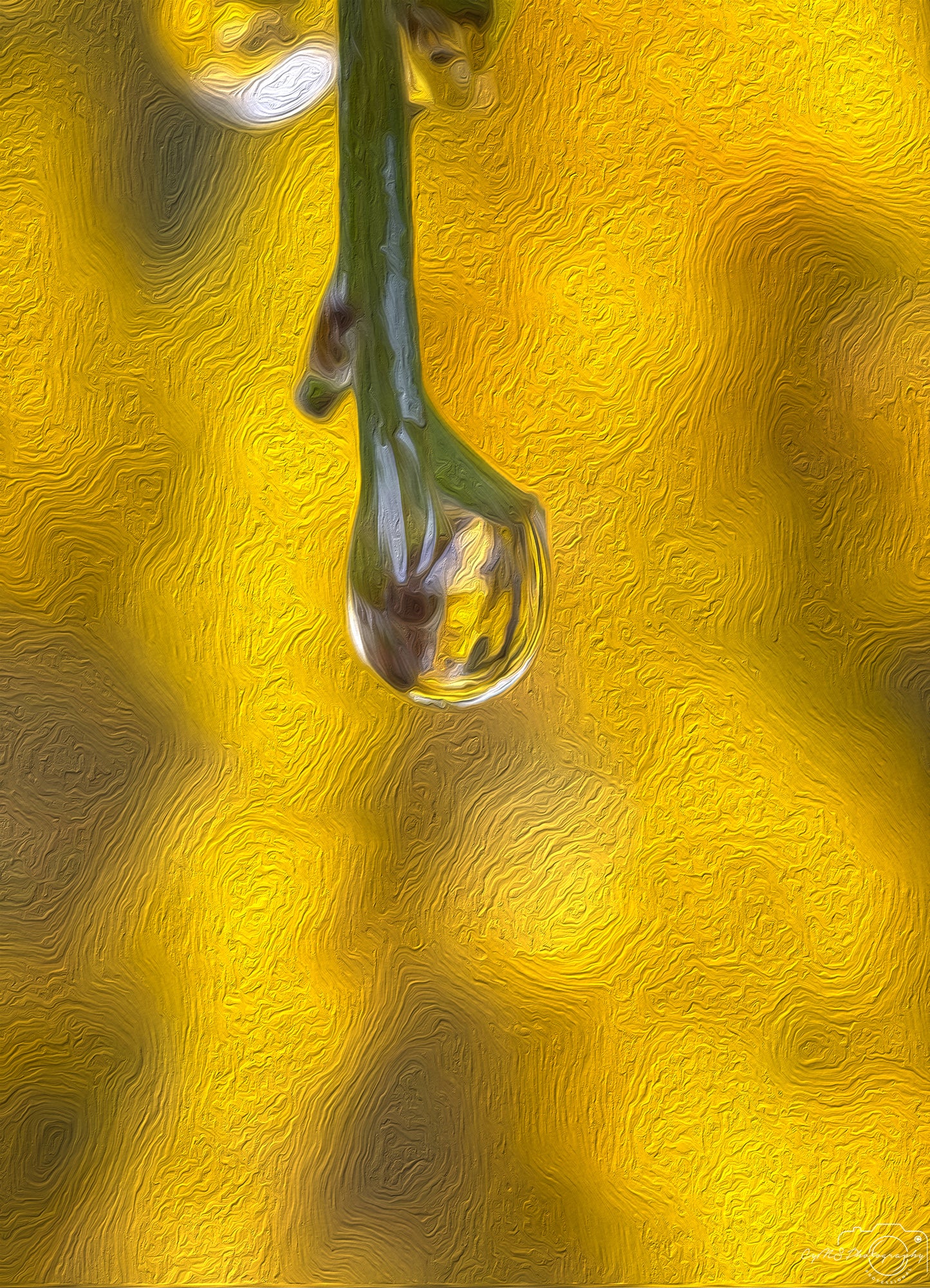 Digital Oil Painting - Superb Droplet V531