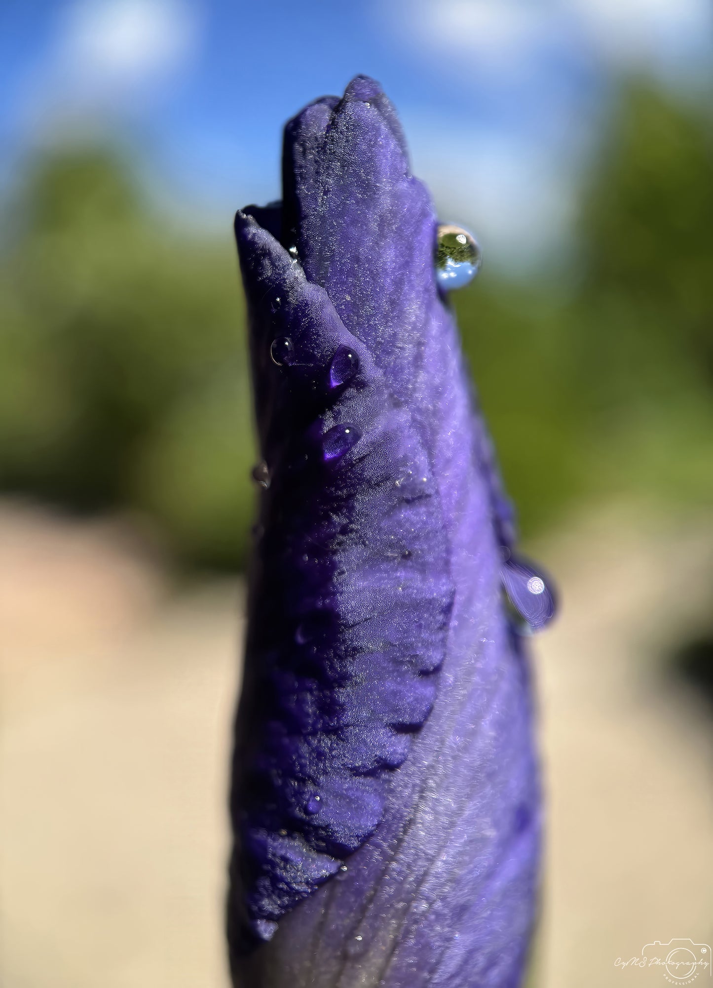 Schöner Wassertropfen_V539