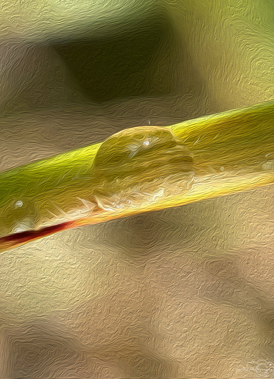 Digital Oil Painting - Superb Droplet V550