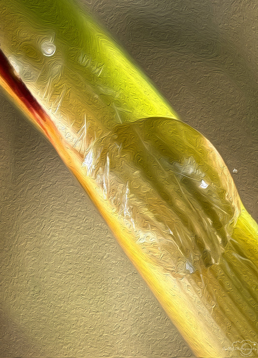 Digital Oil Painting - Superb Droplet V551