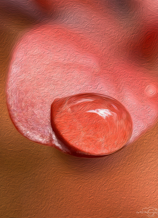 Digital Oil Painting - Superb Droplet V555