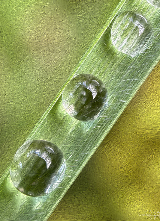 Digital Oil Painting - Superb Droplet V559