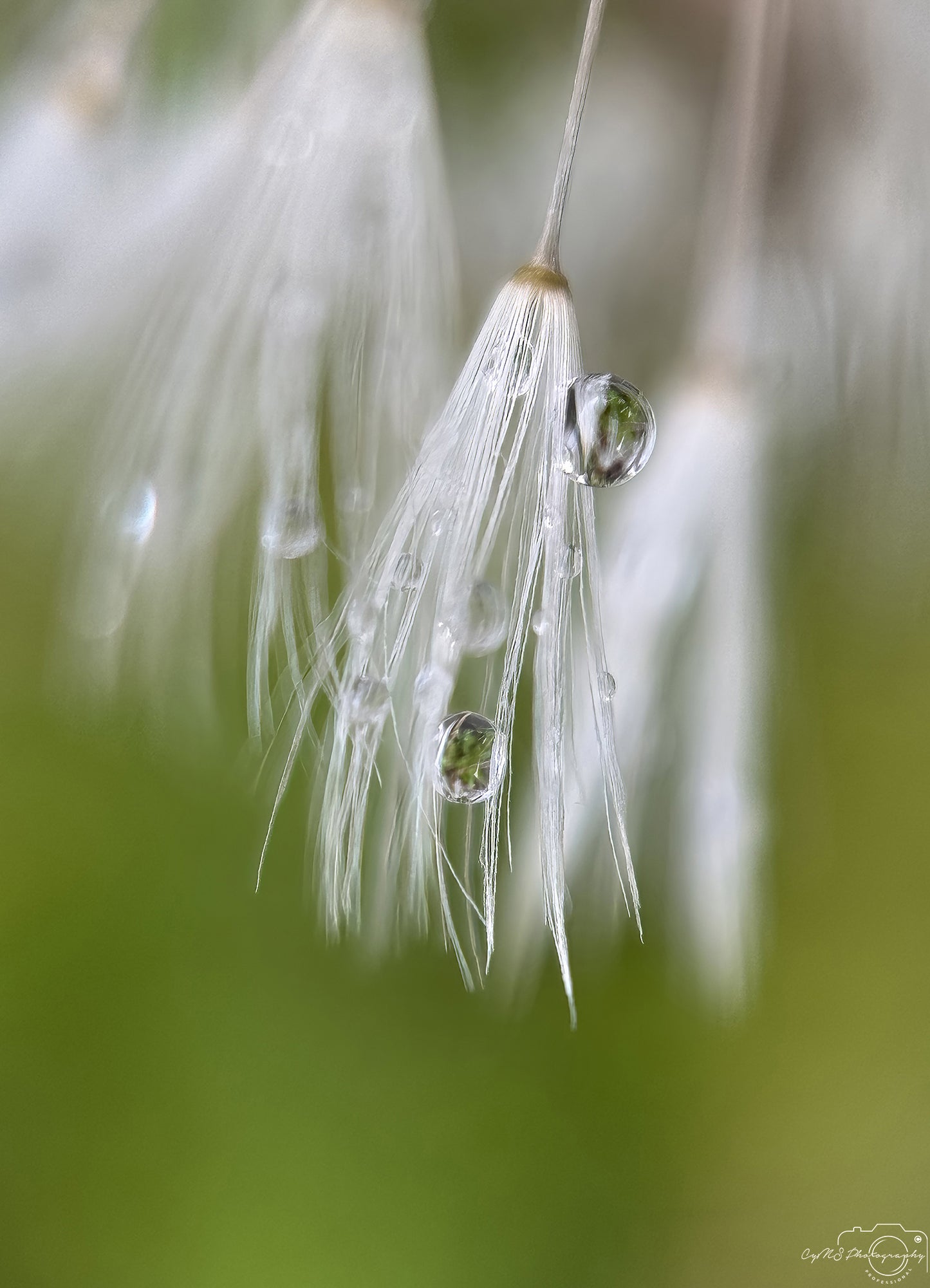 Beautiful water drop_V569